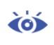 Vision
